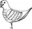 D:\Documents\Downloads\depositphotos_344981640-stock-illustration-ink-hand-drawn-bird-sketch.jpg
